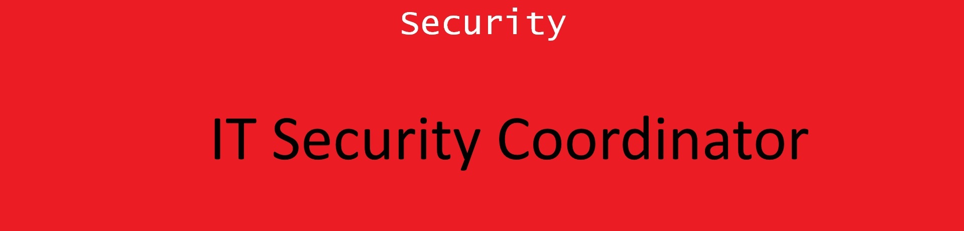 Auf dem Weg zum IT-Security Coordinator – Teil 1
